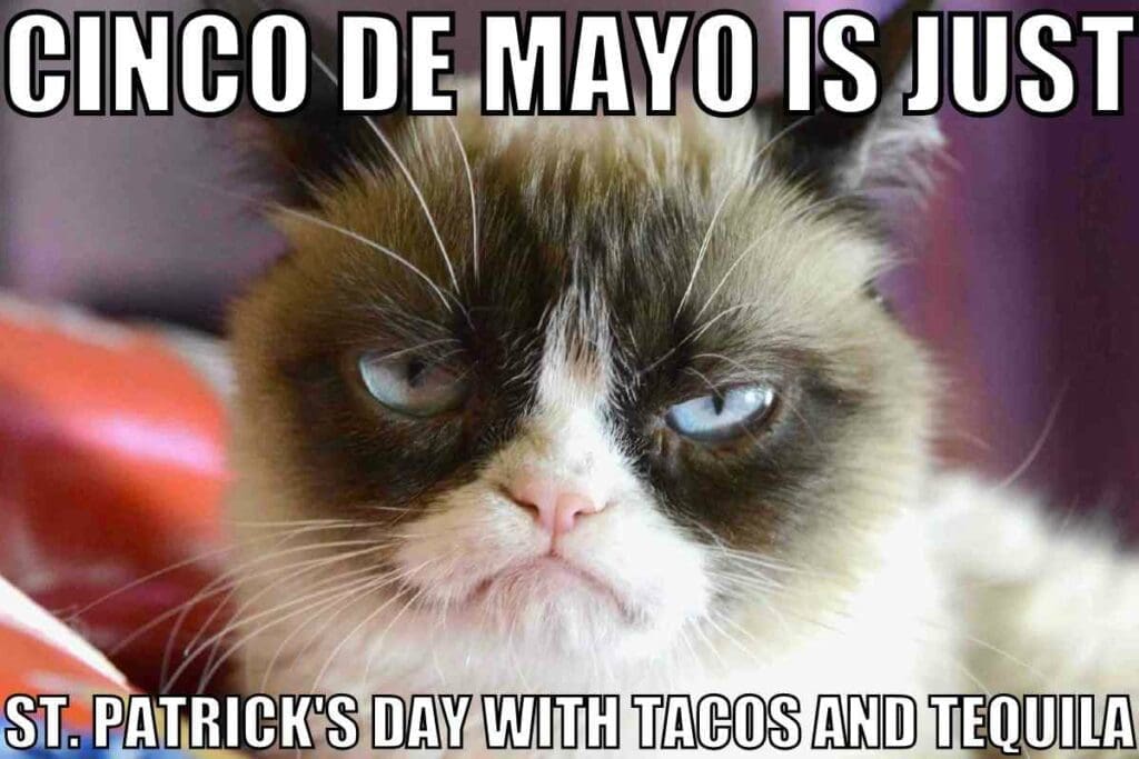 Cinco De Mayo Memes